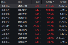 “高位股”巨震300255跌停