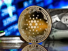 用上数字人民币之前你必 