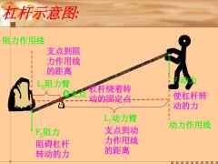 “至信”难言可信:一条