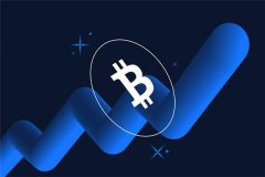 Wise正在招聘数字资产团队 